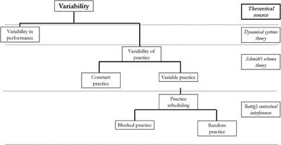 Variability of Practice, Information Processing, and Decision Making—How Much Do We Know?